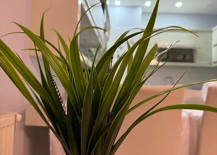 Flori Center Lägenhet *